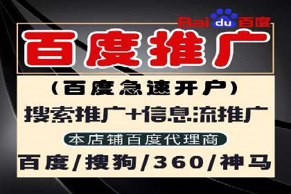 SEM营销案例：电商平台的流量密码